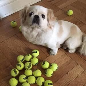 Meet your Posher, Ellen